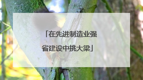 在先进制造业强省建设中挑大梁