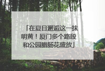 在夏日邂逅这一抹明黄！厦门多个路段和公园腊肠花盛放