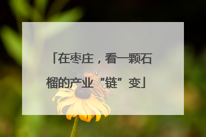 在枣庄，看一颗石榴的产业“链”变