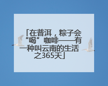 在普洱，粽子会“喝”咖啡——有一种叫云南的生活之365天