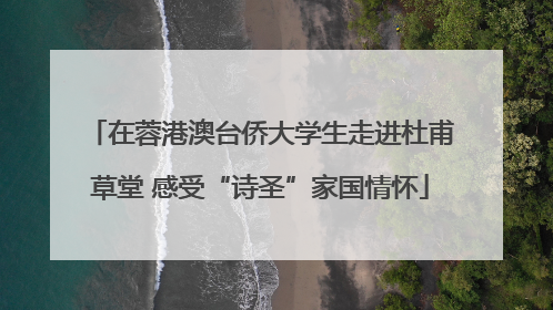 在蓉港澳台侨大学生走进杜甫草堂 感受“诗圣”家国情怀