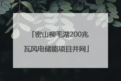 密山柳毛湖200兆瓦风电储能项目并网