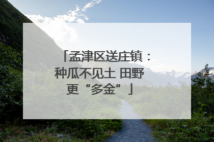 孟津区送庄镇：种瓜不见土 田野更“多金”