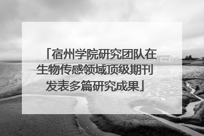 宿州学院研究团队在生物传感领域顶级期刊发表多篇研究成果