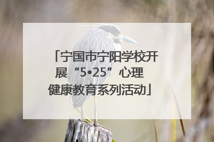 宁国市宁阳学校开展“5•25”心理健康教育系列活动