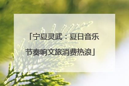 宁夏灵武：夏日音乐节奏响文旅消费热浪