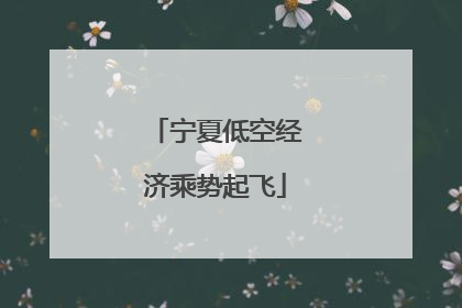 宁夏低空经济乘势起飞