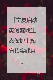宁夏启动黄河流域生态保护主题宣传实践月
