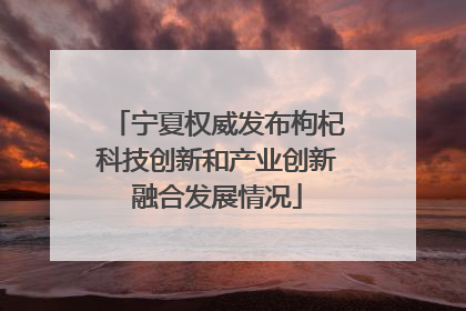 宁夏权威发布枸杞科技创新和产业创新融合发展情况