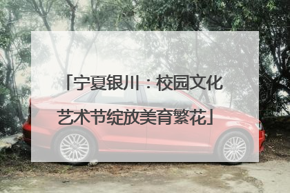 宁夏银川：校园文化艺术节绽放美育繁花