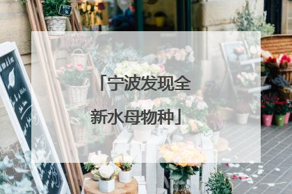 宁波发现全新水母物种