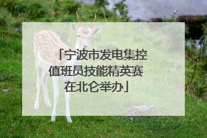 宁波市发电集控值班员技能精英赛在北仑举办