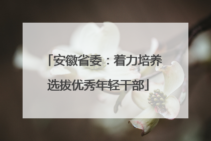 安徽省委：着力培养选拔优秀年轻干部