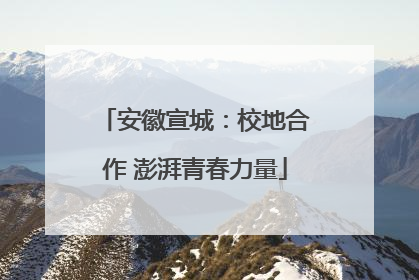 安徽宣城：校地合作 澎湃青春力量