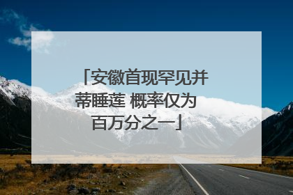 安徽首现罕见并蒂睡莲 概率仅为百万分之一