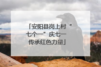 安阳县岗上村“七个一”庆七一 传承红色力量