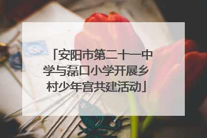 安阳市第二十一中学与磊口小学开展乡村少年宫共建活动