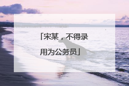 宋某，不得录用为公务员