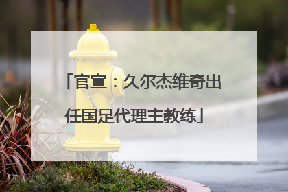 官宣：久尔杰维奇出任国足代理主教练