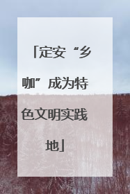 定安“乡咖”成为特色文明实践地