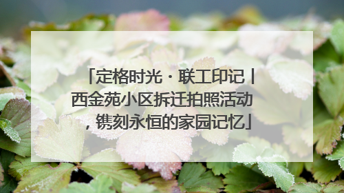 定格时光・联工印记丨西金苑小区拆迁拍照活动，镌刻永恒的家园记忆