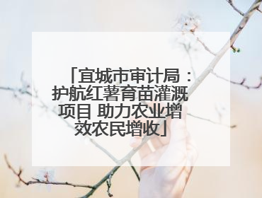 宜城市审计局：护航红薯育苗灌溉项目 助力农业增效农民增收