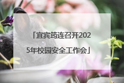 宜宾筠连召开2025年校园安全工作会