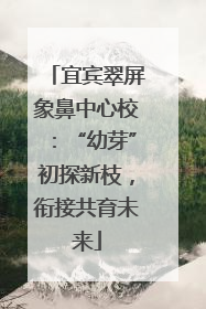宜宾翠屏象鼻中心校：“幼芽”初探新枝，衔接共育未来