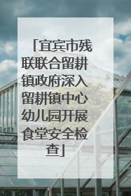 宜宾市残联联合留耕镇政府深入留耕镇中心幼儿园开展食堂安全检查