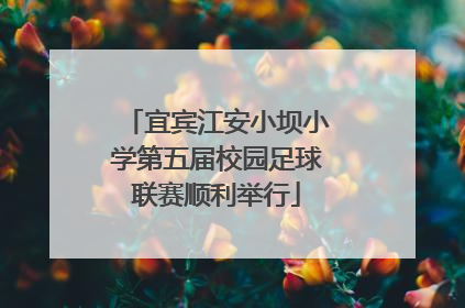 宜宾江安小坝小学第五届校园足球联赛顺利举行