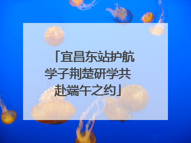宜昌东站护航学子荆楚研学共赴端午之约