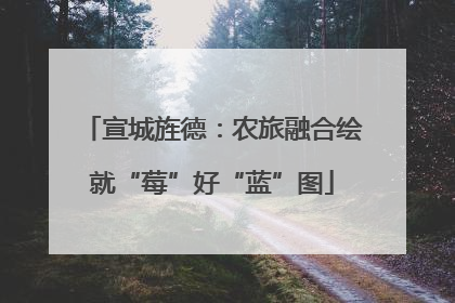 宣城旌德：农旅融合绘就“莓”好“蓝”图