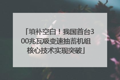 填补空白！我国首台300兆瓦级变速抽蓄机组核心技术实现突破