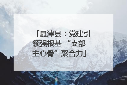 夏津县：党建引领强根基 “支部主心骨”聚合力