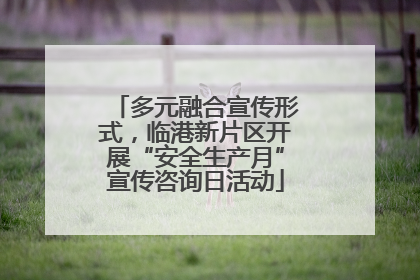 多元融合宣传形式，临港新片区开展“安全生产月”宣传咨询日活动