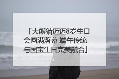 大熊猫迈迈8岁生日会圆满落幕 端午传统与国宝生日完美融合
