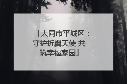 大同市平城区：守护折翼天使 共筑幸福家园