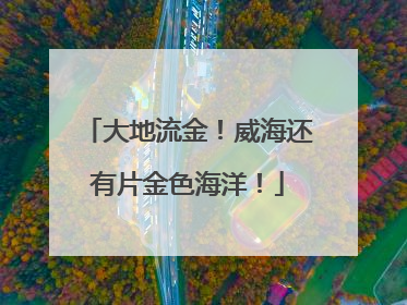 大地流金！威海还有片金色海洋！