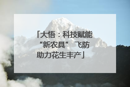 大悟：科技赋能“新农具” 飞防助力花生丰产