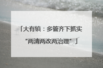 大有镇：多管齐下抓实“两清两改两治理”