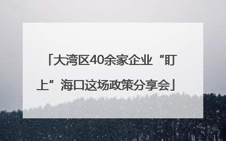 大湾区40余家企业“盯上”海口这场政策分享会