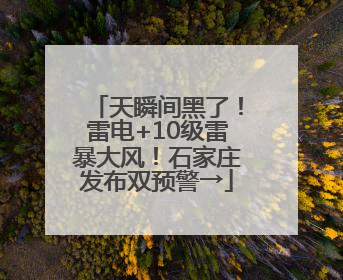 天瞬间黑了！雷电+10级雷暴大风！石家庄发布双预警→