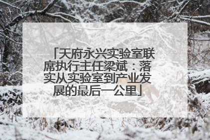 天府永兴实验室联席执行主任梁斌：落实从实验室到产业发展的最后一公里