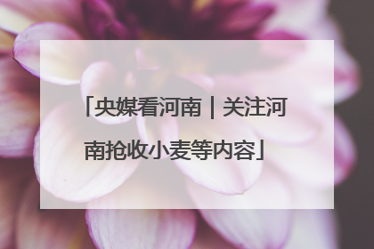 央媒看河南｜关注河南抢收小麦等内容