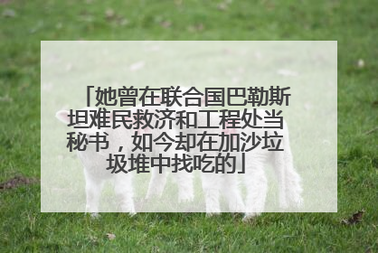她曾在联合国巴勒斯坦难民救济和工程处当秘书，如今却在加沙垃圾堆中找吃的