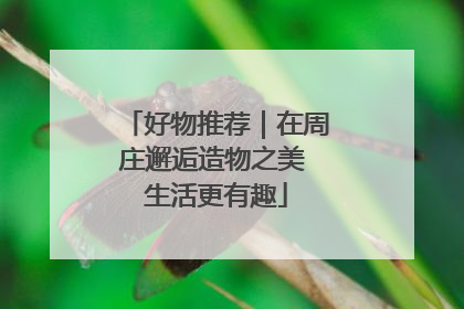 好物推荐｜在周庄邂逅造物之美 生活更有趣