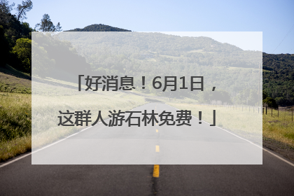 好消息！6月1日，这群人游石林免费！