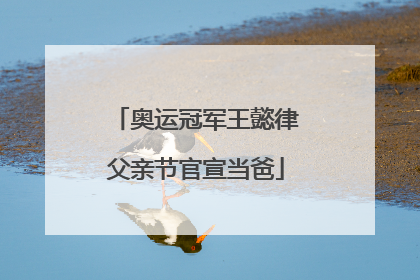 奥运冠军王懿律父亲节官宣当爸