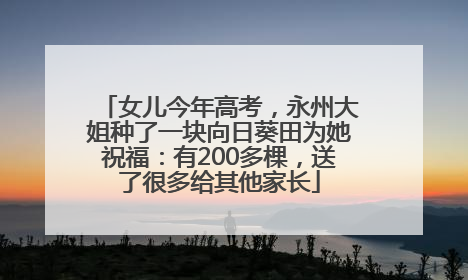 女儿今年高考，永州大姐种了一块向日葵田为她祝福：有200多棵，送了很多给其他家长