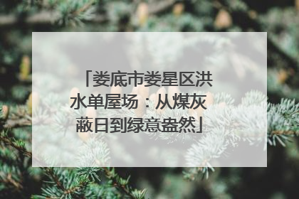 娄底市娄星区洪水单屋场：从煤灰蔽日到绿意盎然